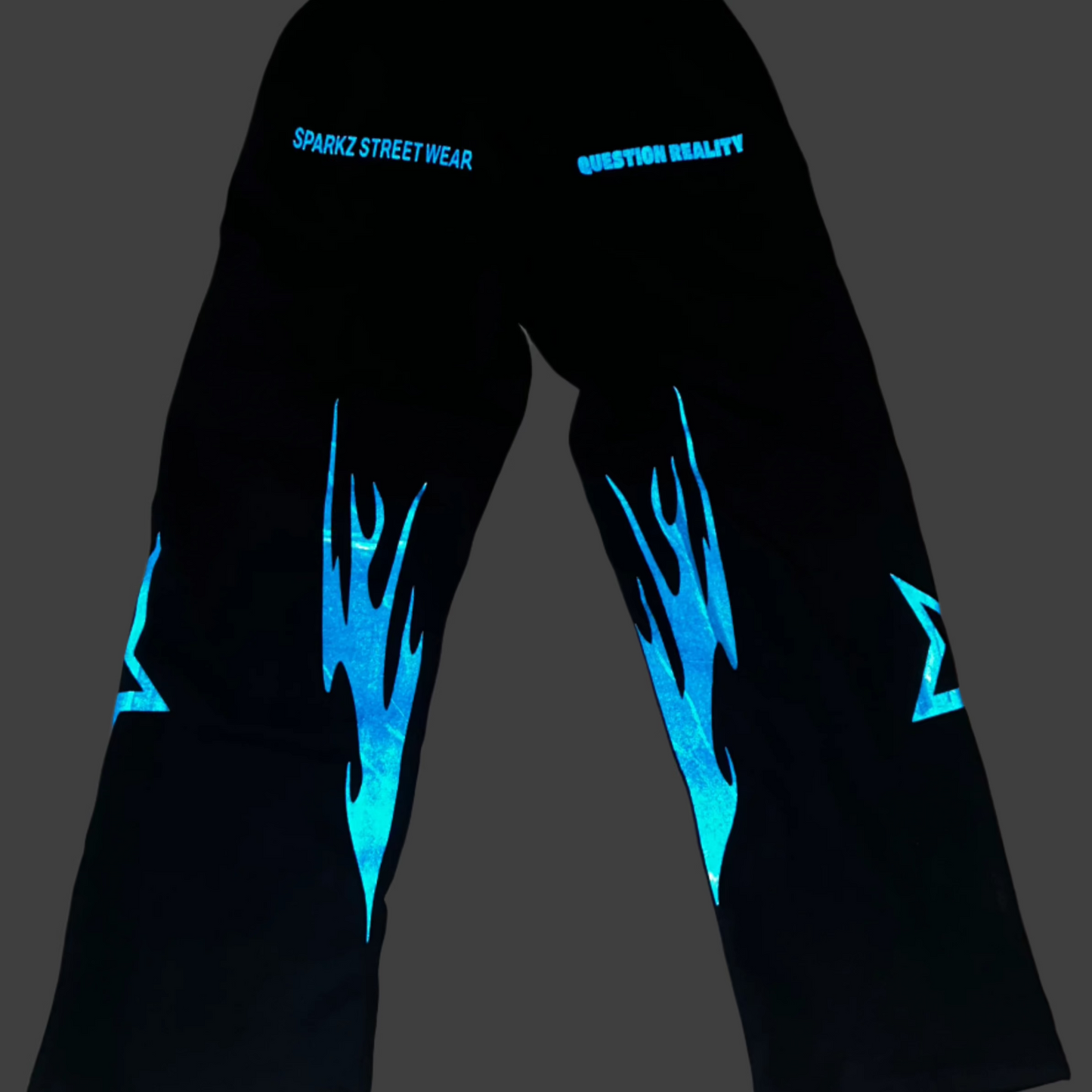 Reflective Pants